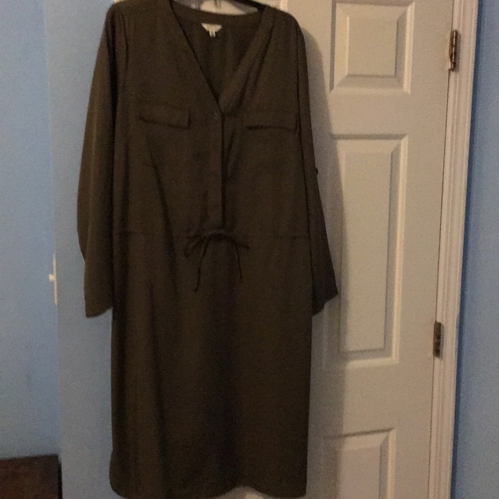 Olive color green